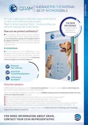 Gram Book Advertorial