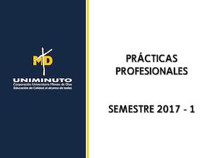 Prácticas Profesionales 2017 1