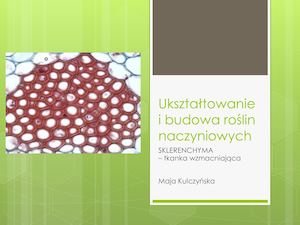 Ukształtowanie I Budowa Roślin Naczyniowych M Kulczyńska