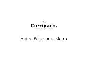 Curripaco (1)