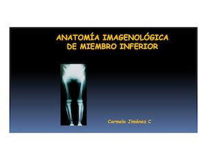 Imagenologa De Miembro Inferior Clase Ok