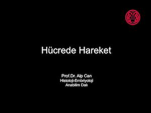 Hucrede Hareket