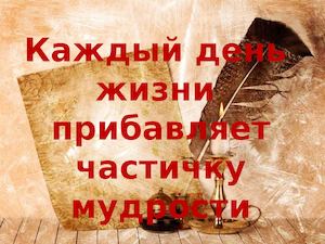 учимся ставить знаки препинания в предложениях с однородными членами