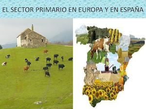 LAS ACTIVIDADES ECONOMICAS IKER.D Y ARITZ.P