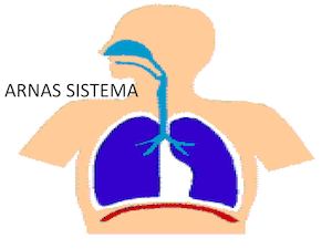 Arnas Sistema Ekain Aimar Eta Ander