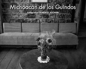 MICHOACAN DE LOS GUINDOS