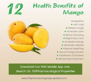 Mango Health Benefits and Side Effects