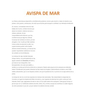 Avispa De Mar