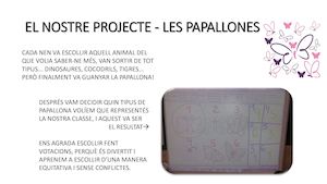 PROJECTE LES PAPALLONES  P4B