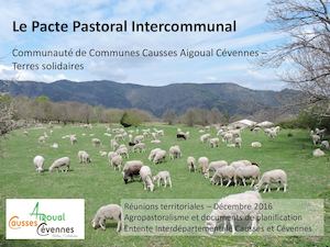Présentation Pacte Pastoral Intercommunal