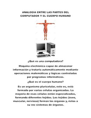 Analogia Entre Las Partes Del Computador Y El Cuerpo Humano