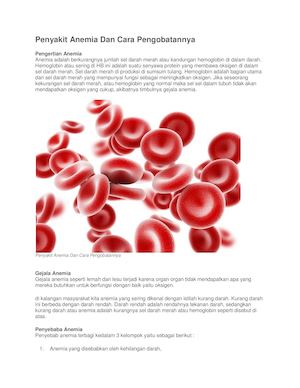 Penyakit Anemia Dan Cara Pengobatannya