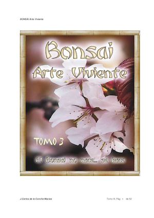 Bonsai, Arte Viviente Iii