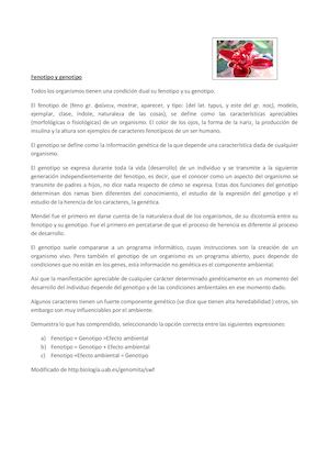 Fenotipo Y Genotipo Francisco Javier Cervigon Ruckauer