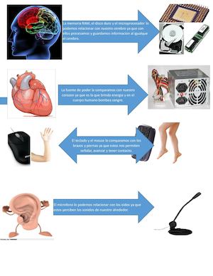 Analogia De Cuerpo Humano Y Computador