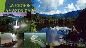 La Region Amazonica
