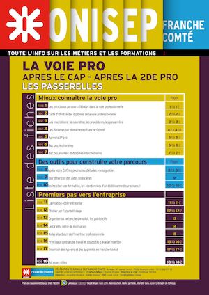Voie Pro, Après Le Cap, Après La 2e Pro, Les Passerelles