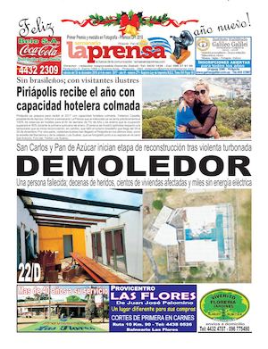 Edición Impresa Nº 271