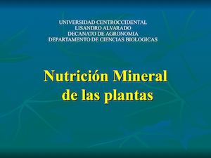 Nutricion Mineral
