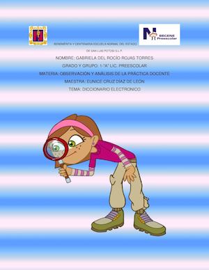 Diccionario Ilustrado