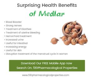 Medlar Health Benefits