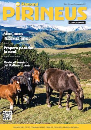 Pànxing Pirineus nº28