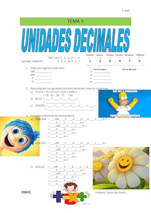 Dbh1 Tema 5 Unidades Decimales