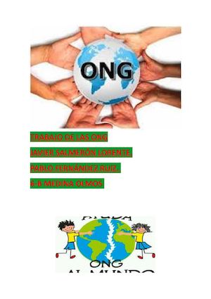 Que Es Una Ong