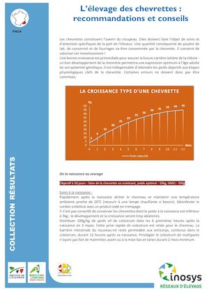 Elevage_des_chevrettes_recommandations_et_conseils