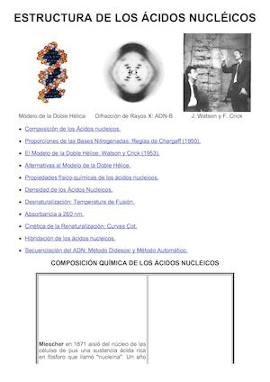 02 Estructura De Los áCidos Nucléicos