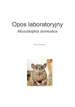 Opos laboratoryjny Monodelphis domestica