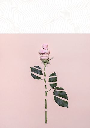 Book Emmanuelle Brisson Photographe