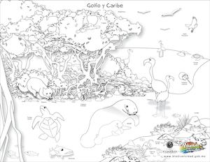 Ecosistemas Dibujo Meep