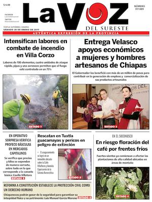 Diario La Voz del Sureste