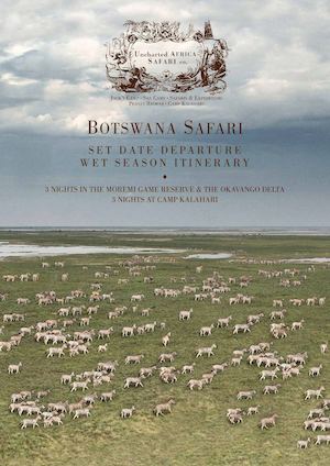 Botswana Safari Wet Season