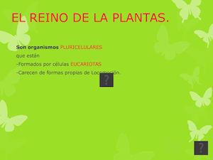 El Reino De La Plantas