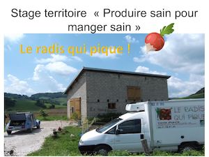 Visite AMAP "Le Radis qui pique"