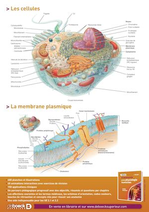Affiches Tortora 2e édition