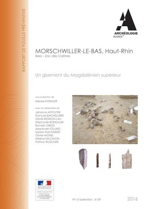 MORSCHWILLER-LE-BAS, IKEA - Zac Des Collines (f)