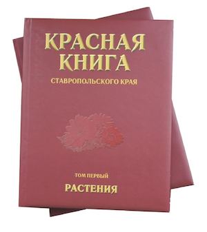 Красная Книга Фото