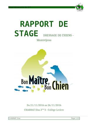 Rapport De Stage Chabrat Elsa 3e3