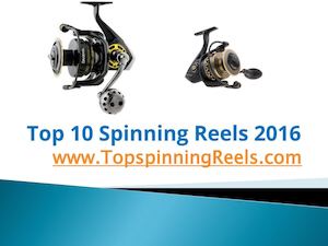 10 Best Spinning Reel