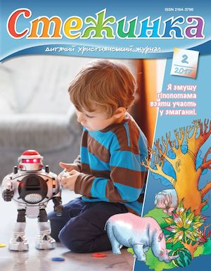 Стежинка 2017.2