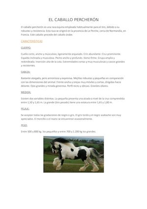 El Caballo Percherón