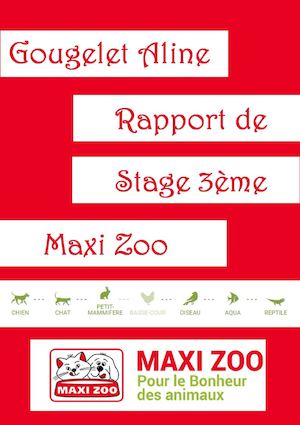 Rapport De Stage 3e Gougelet Aline