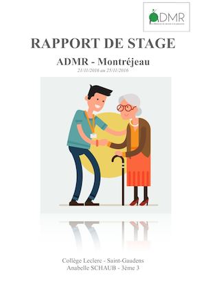 Anabelle Schaub 3°3 Rapport De Stage