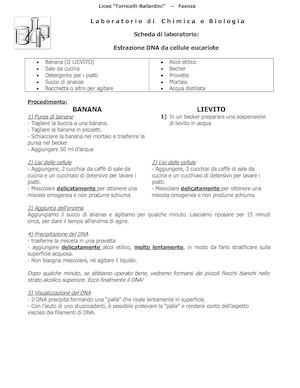 Classe 3 Bio X Estrazione Dnanew