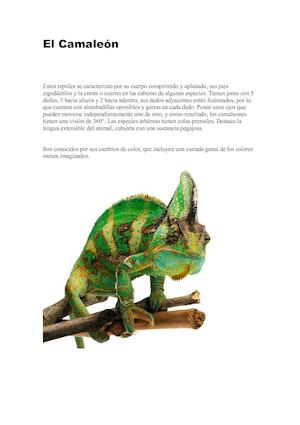 Un Camaleón 2017