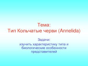 05 Кольчатые черви