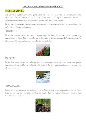 3º Unit 3 Resumen Repaso En Español